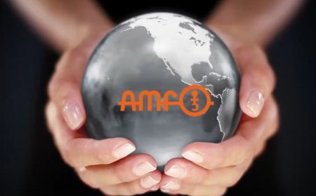 探索AMF夹具奥秘 - 为您量身定制的工业夹持解决方案